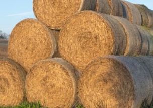 How Baler Twine Can Benefit Your Livestock Farm